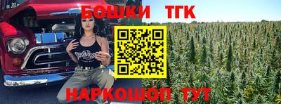 СК Гусь-Хрустальный